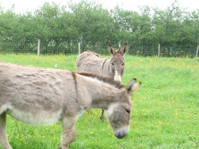 nettoyage mai 2012 (13).jpg